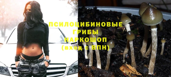 ПСИЛОЦИБИНОВЫЕ ГРИБЫ Абдулино