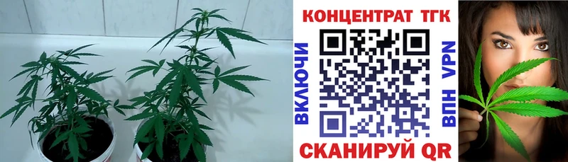 ТГК жижа  Пыталово 
