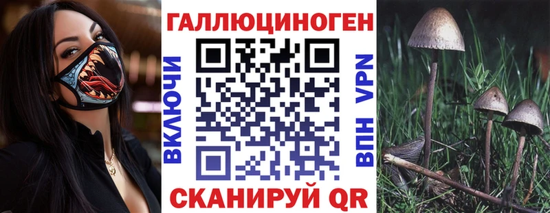 блэк спрут зеркало  Пыталово  нарко площадка состав  Галлюциногенные грибы Psilocybe 